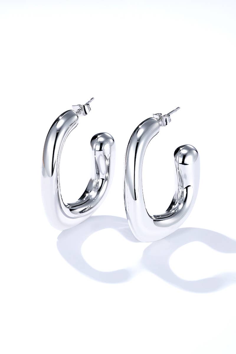 Stainless steel earrings 124AQ398: Silver