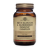 Solgar Beta Glucans & Elderberry Immune Complex - Comprehensive Support for Immune System