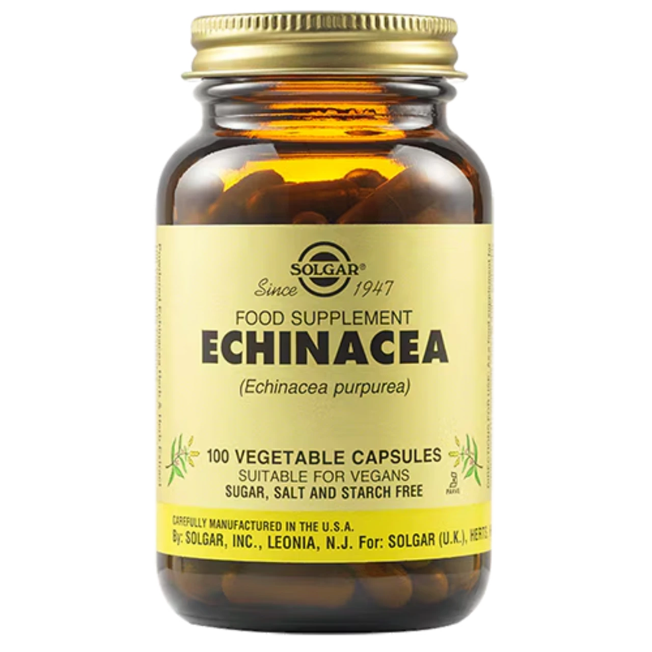 Solgar Echinacea - Premium herbal extract for immune system support and respiratory health.