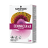 Superfoods Echinacea X3 with E. Purpurea, E. Pallida, E. Angustifolia, Vitamin C, and Zinc for immune support