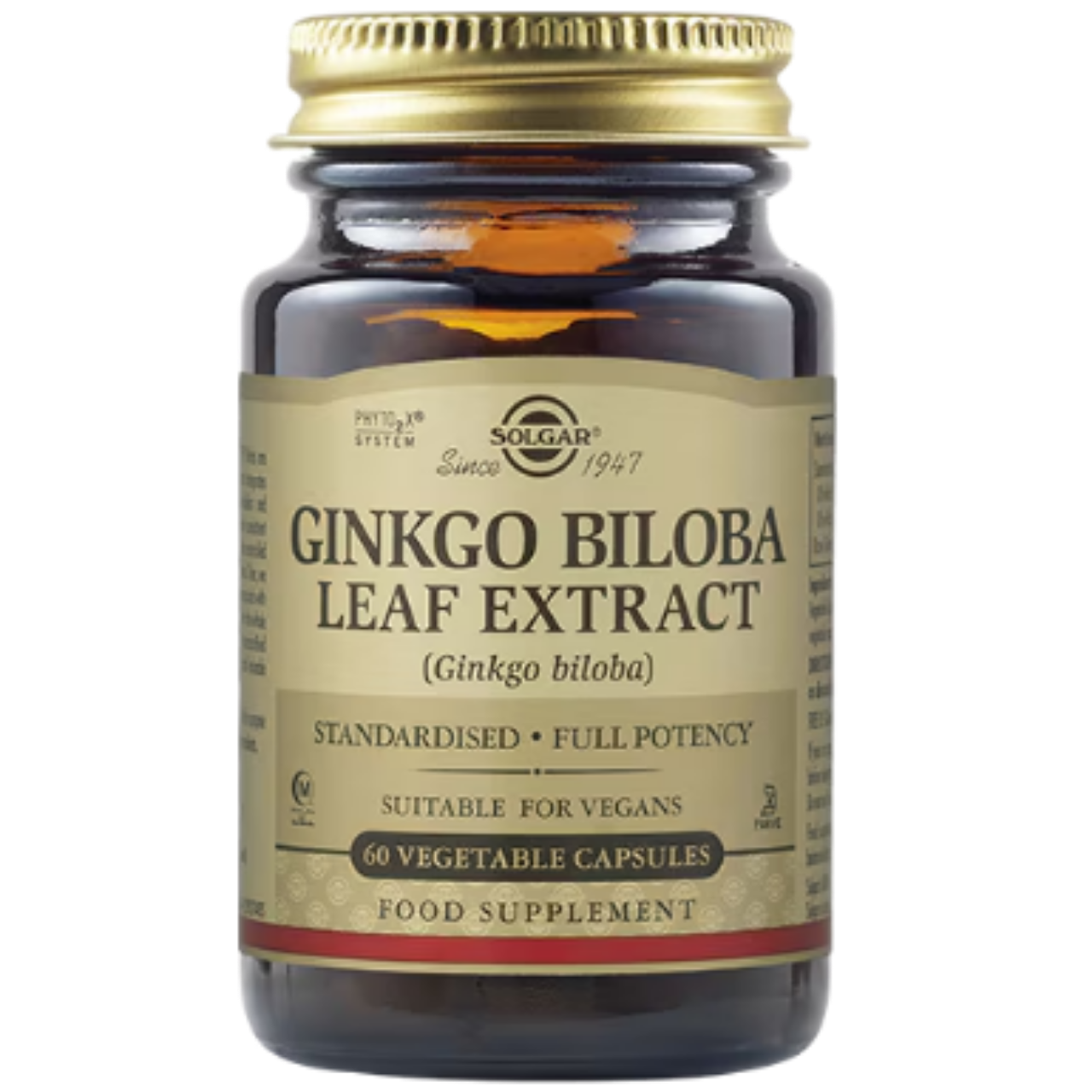 Solgar Ginkgo Biloba Leaf Extract - 60 capsules