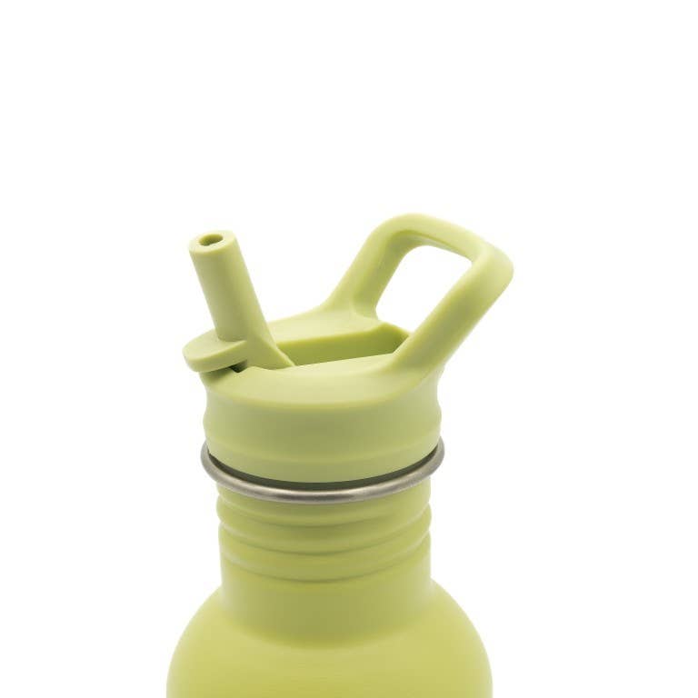 500ml stainless steel water bottle - Cracky the dinosaur
