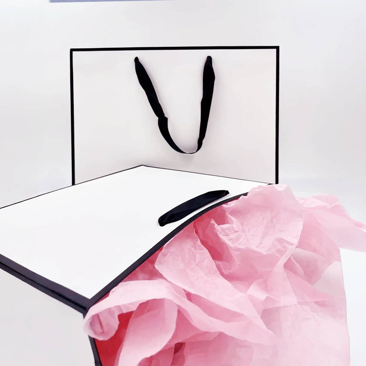 White with Black Border Paper Gift Bag w/ free tissue: V1