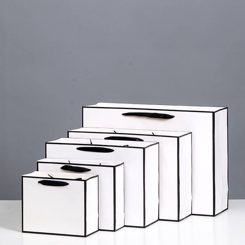 White with Black Border Paper Gift Bag w/ free tissue: V0