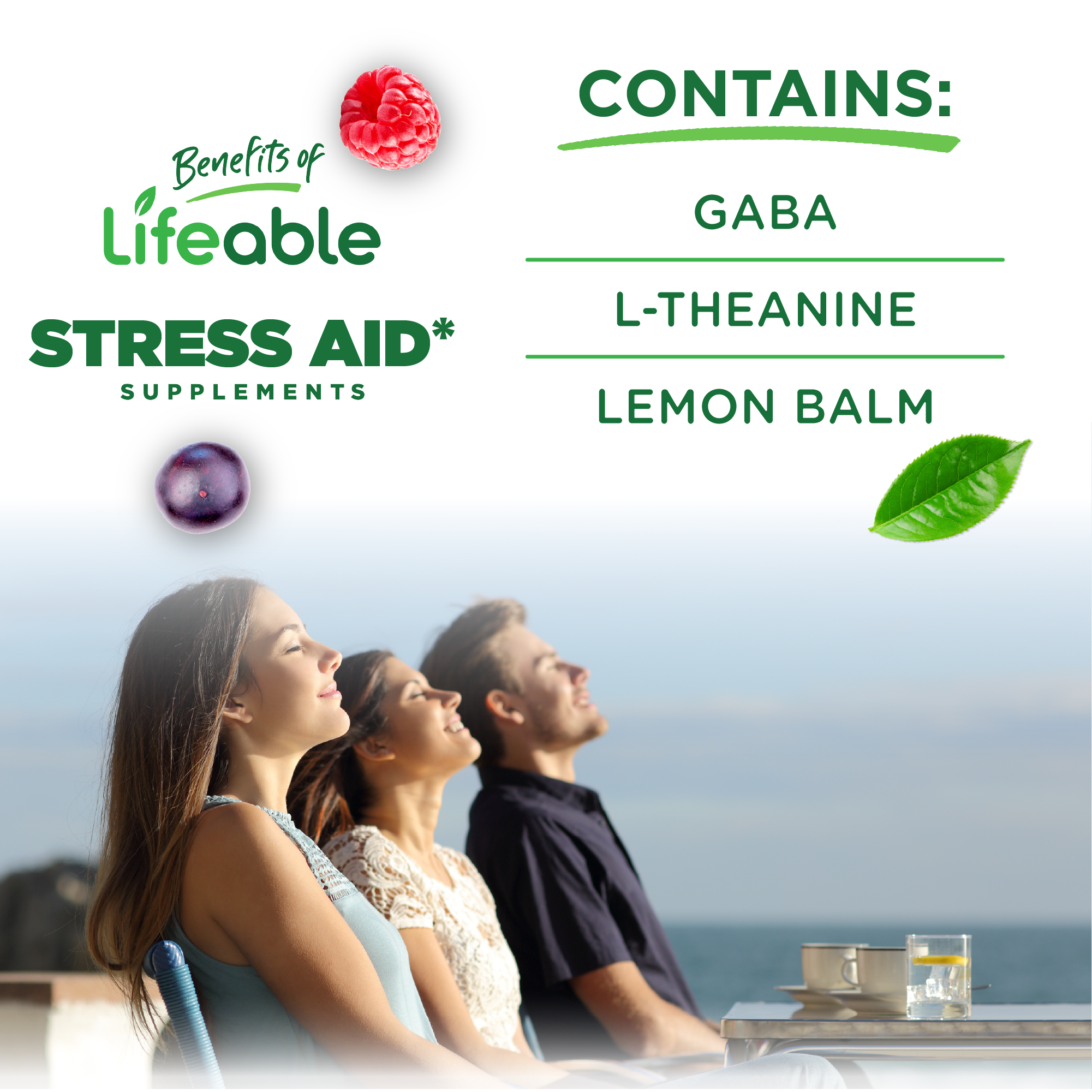 Lifeable - Stress Aid Gummies, 90 ct