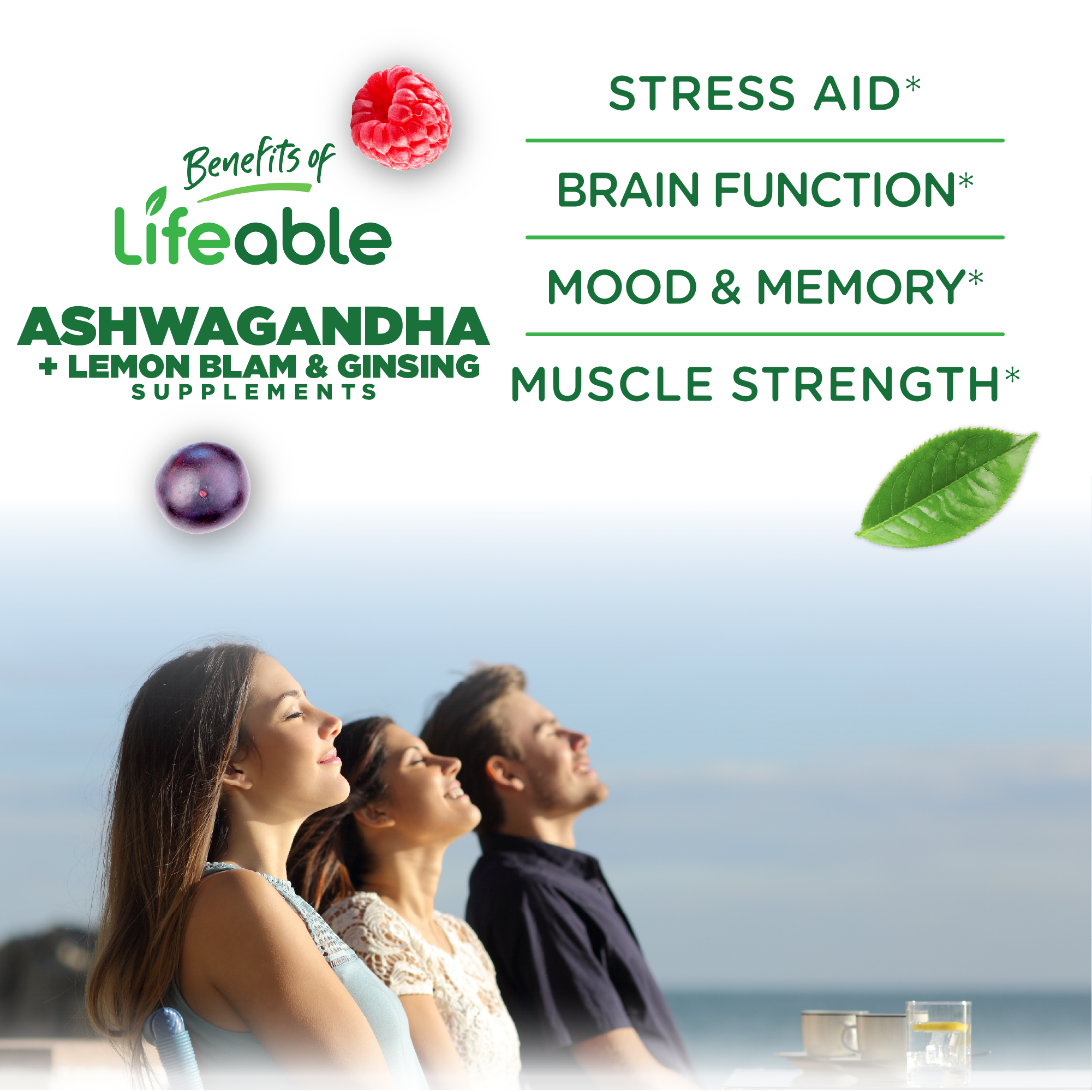 Lifeable Ashwagandha Gummies with Lemon Balm & Ginseng 60 ct