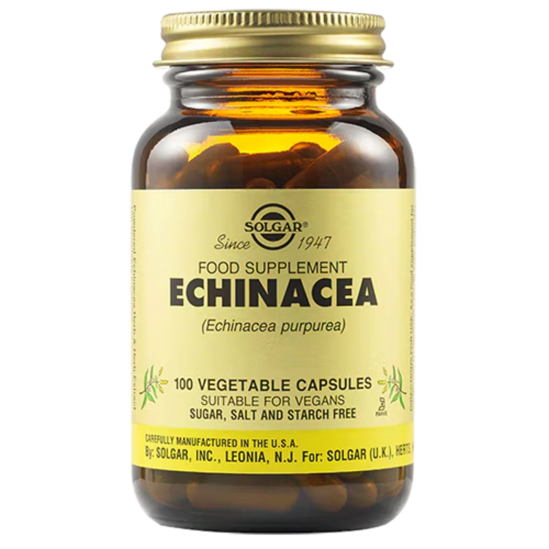 Solgar Echinacea - Premium herbal extract for immune system support and respiratory health.