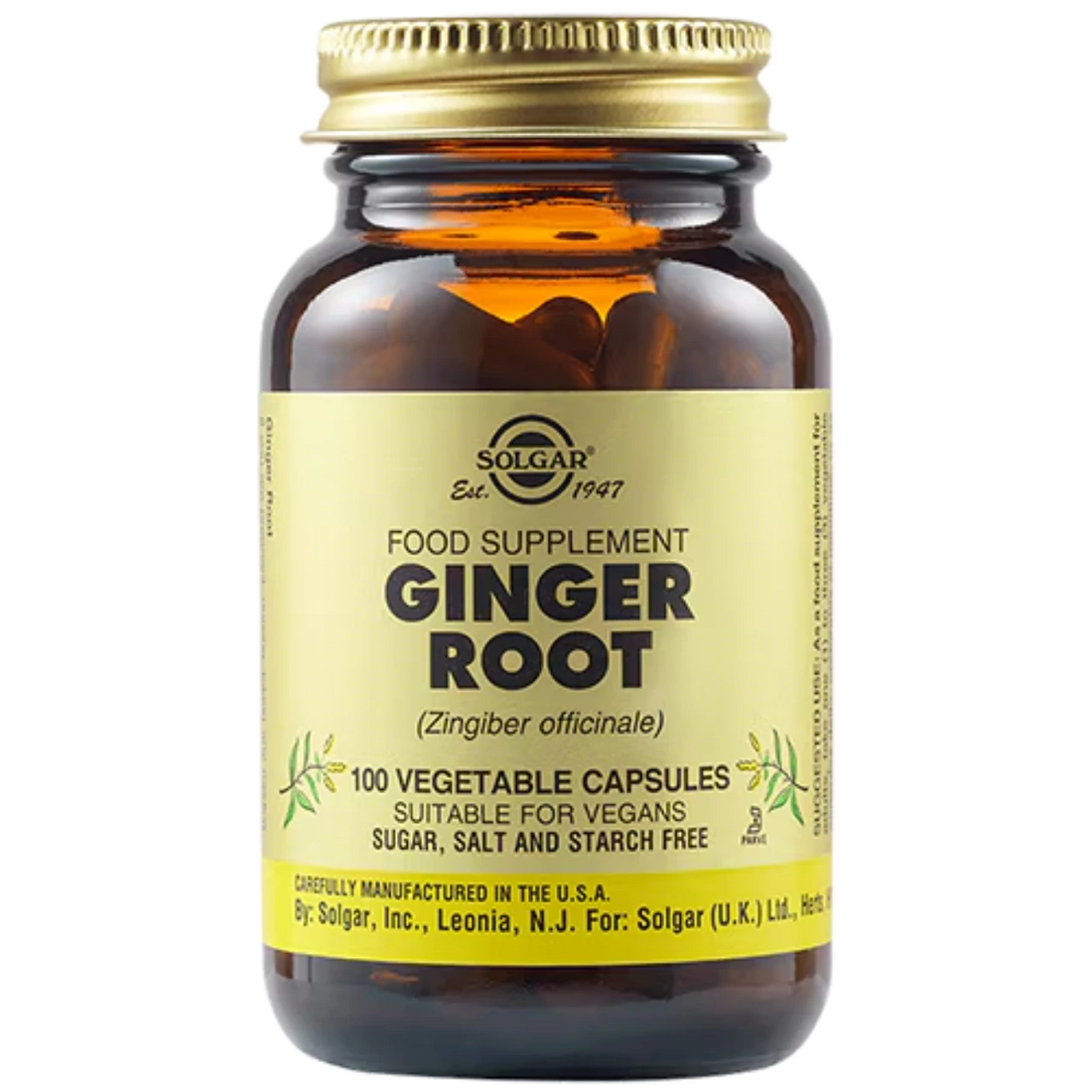 Solgar Ginger Root Extract - Supports digestive health with premium botanical ingredients.
