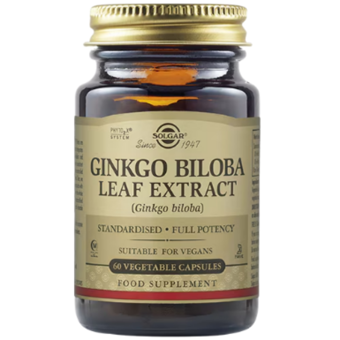 Solgar Ginkgo Biloba Leaf Extract - 60 capsules