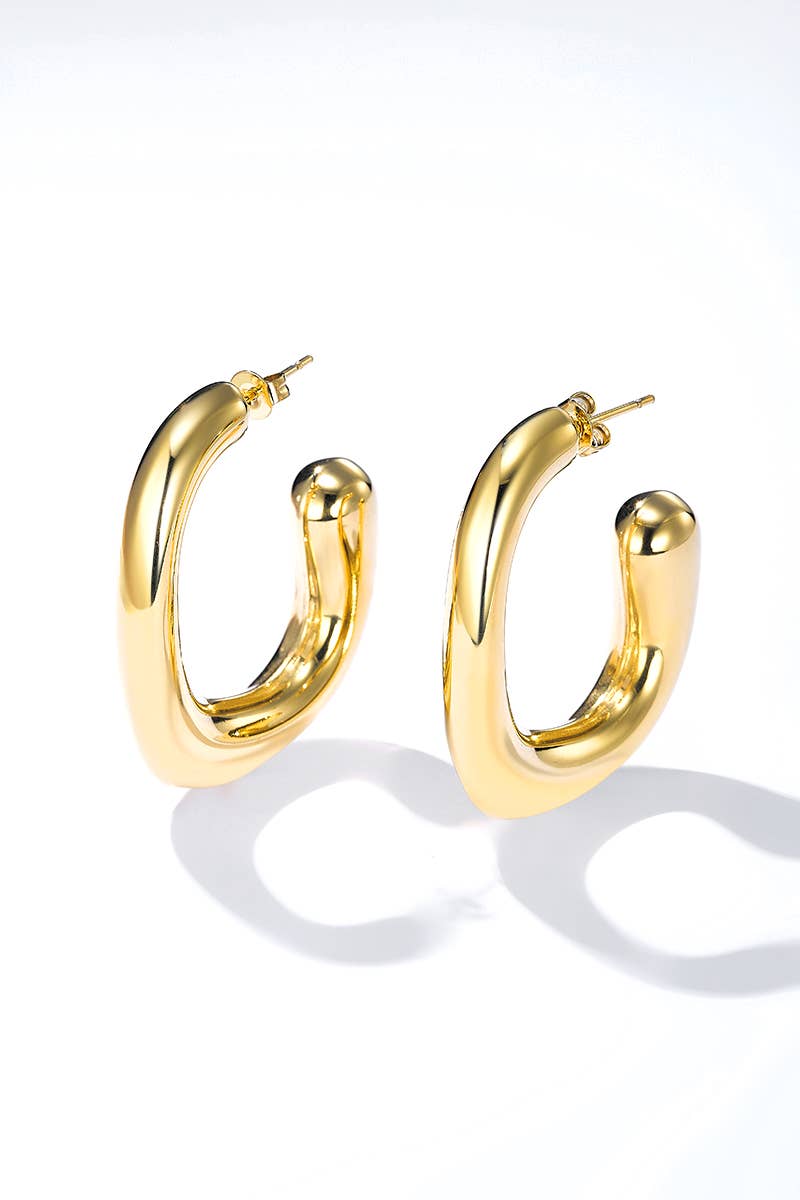 Stainless steel earrings 124AQ398: Silver
