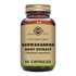 Bottle of Solgar Ashwagandha Root Extract herbal supplement.