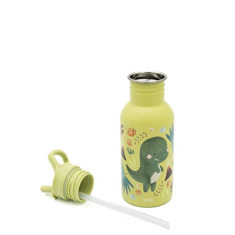 500ml stainless steel water bottle - Cracky the dinosaur