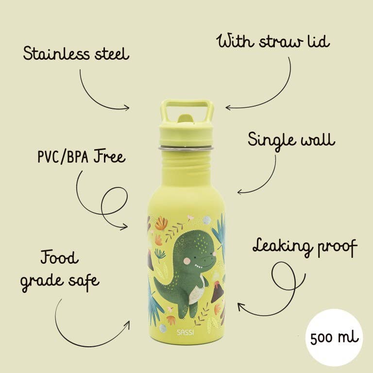 500ml stainless steel water bottle - Cracky the dinosaur