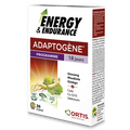 Ortis Energy & Endurance Tablets - Vitality support with ginseng and rhodiola.