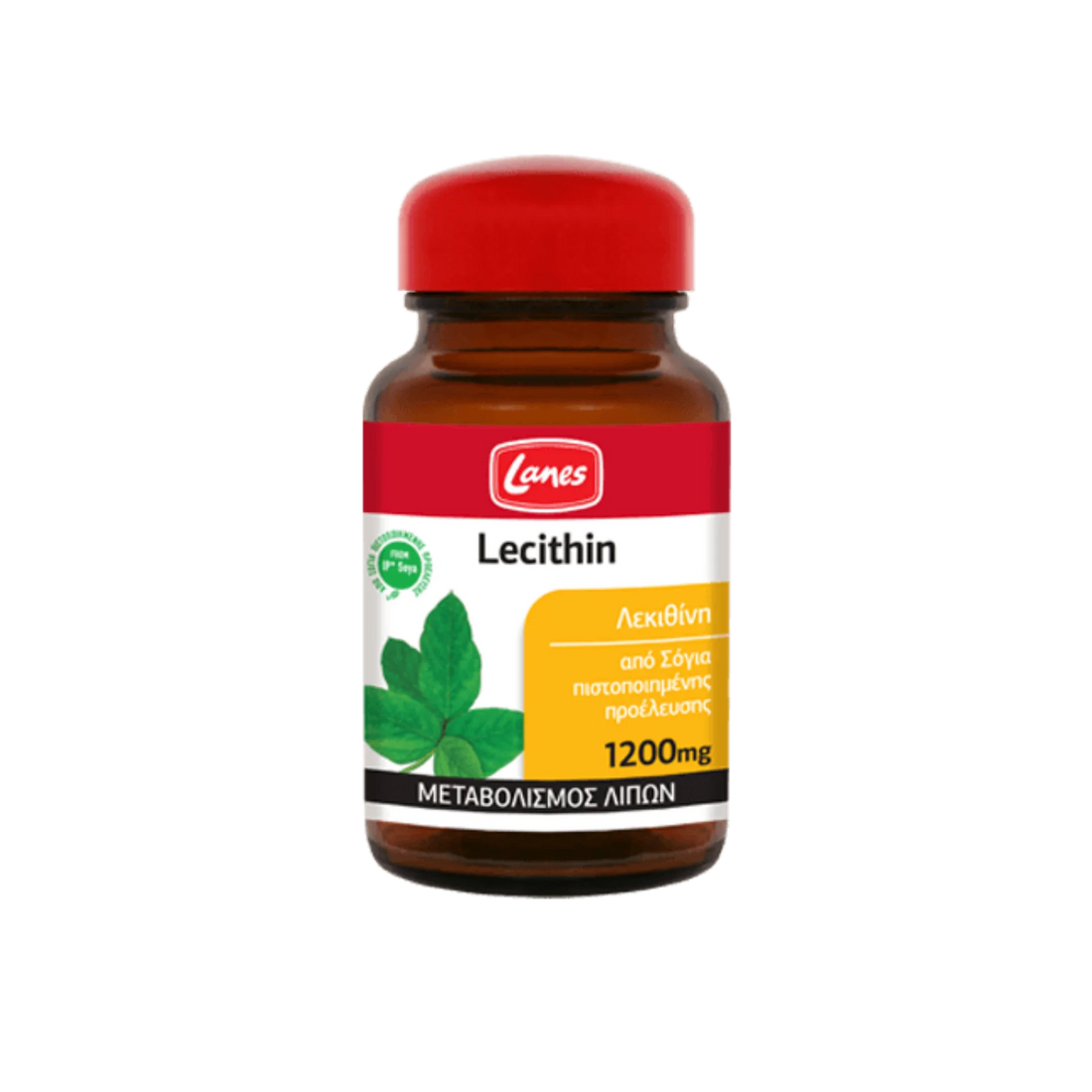 Lecithin Nutritional Supplements – Enhance lipid metabolism and support slimming diets.